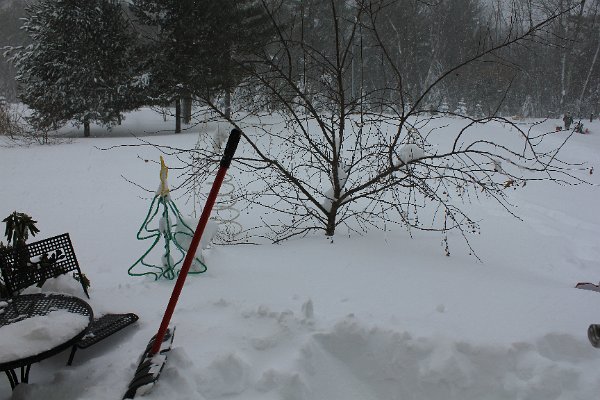 New Camera Dec2010 373